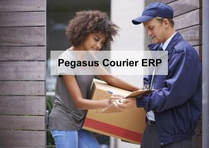 Cropped shot of a young woman signing for a package