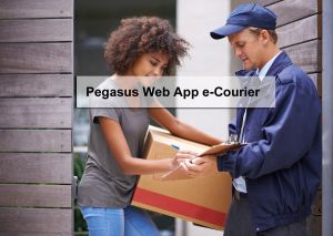 pegasus_ecourier